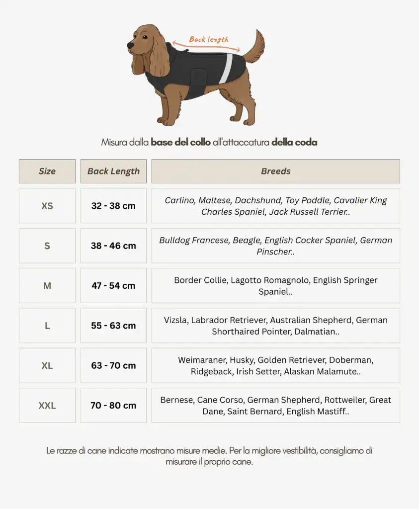 size_guide