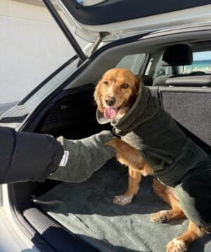 accappatoio per cani