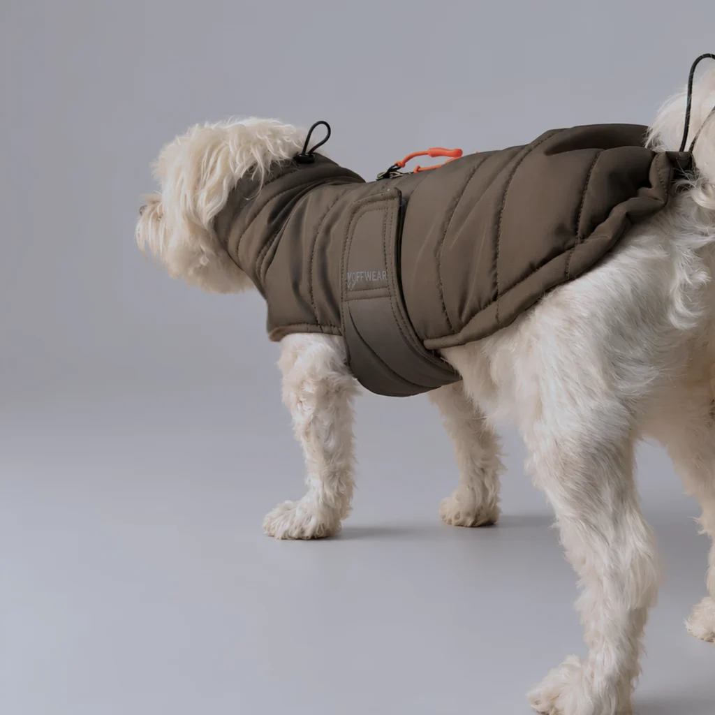 Stockholm Puffer Coat