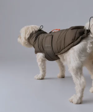 Stockholm Puffer Coat